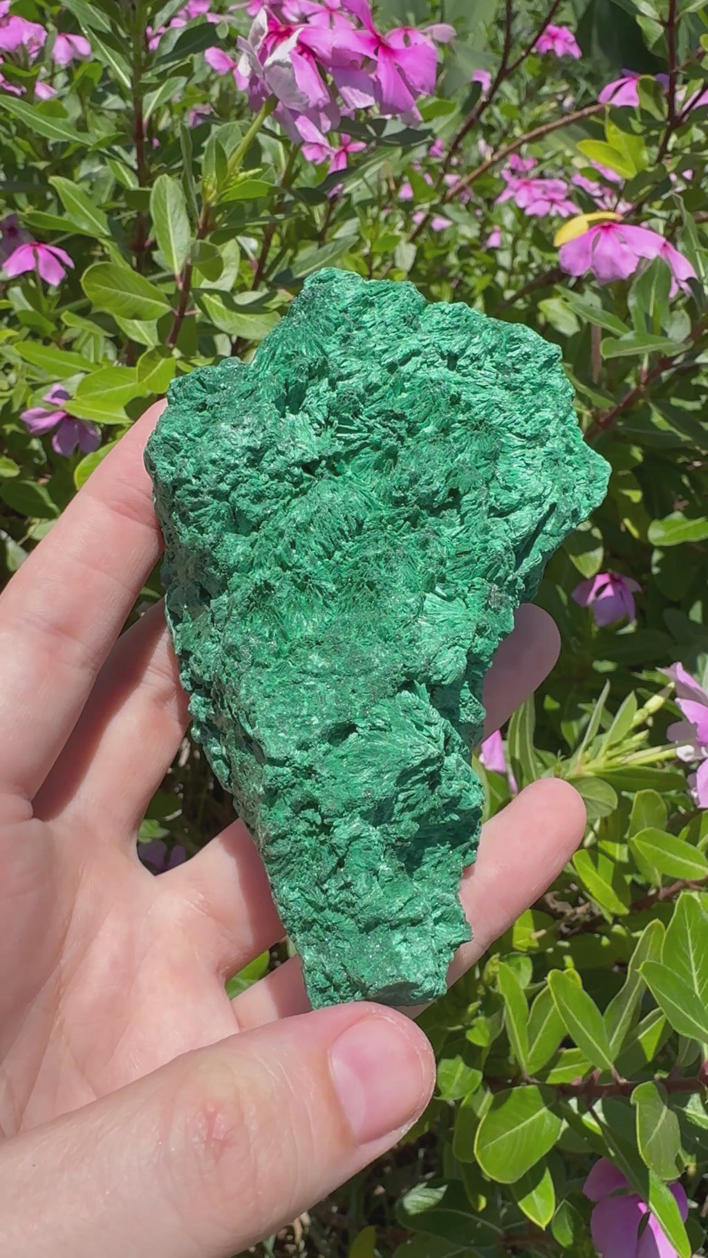 Malachite ‘Fibrous’ Specimen