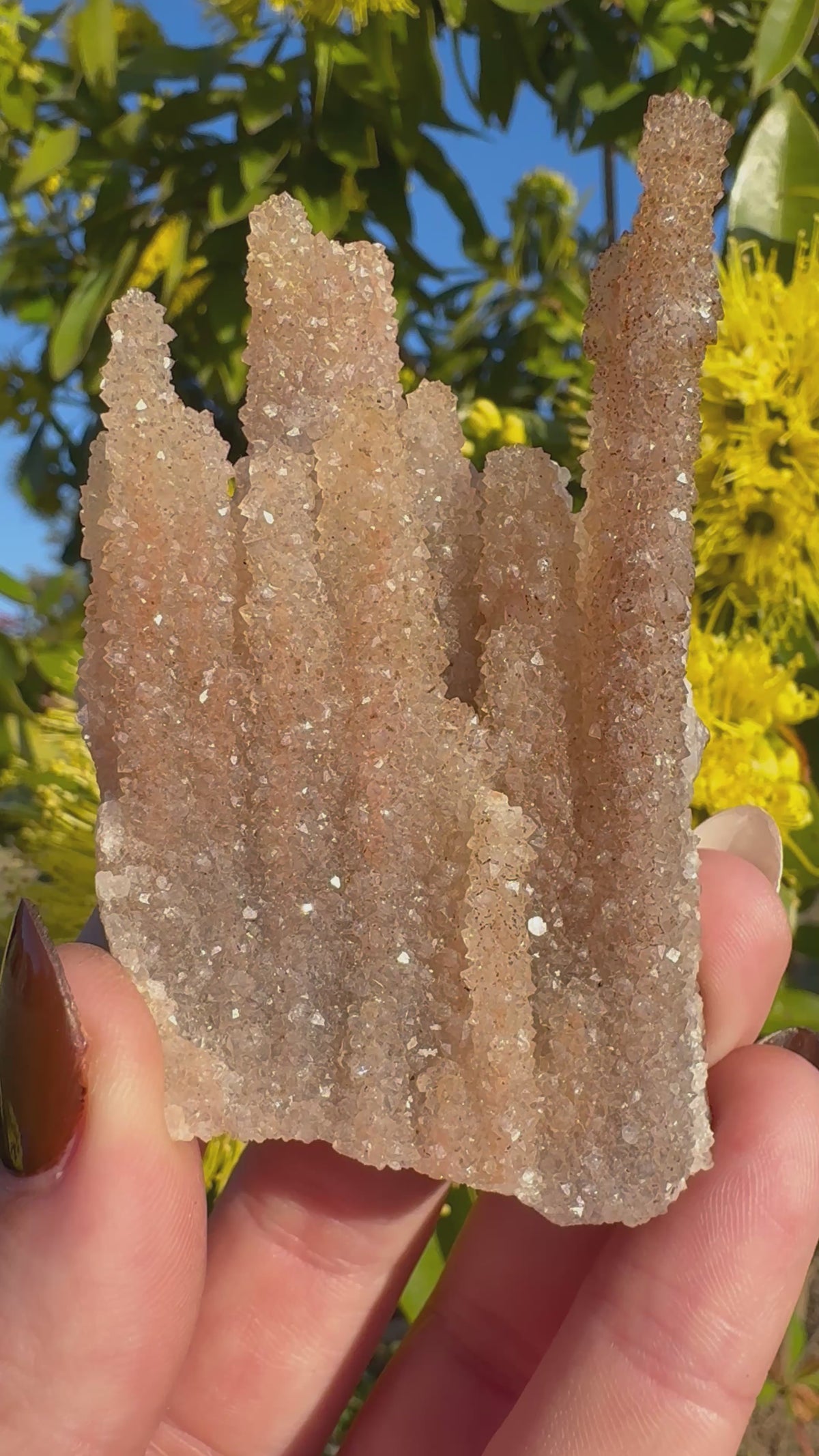 Spécimen de stalactites d'améthyste avec inclusions d'hématite