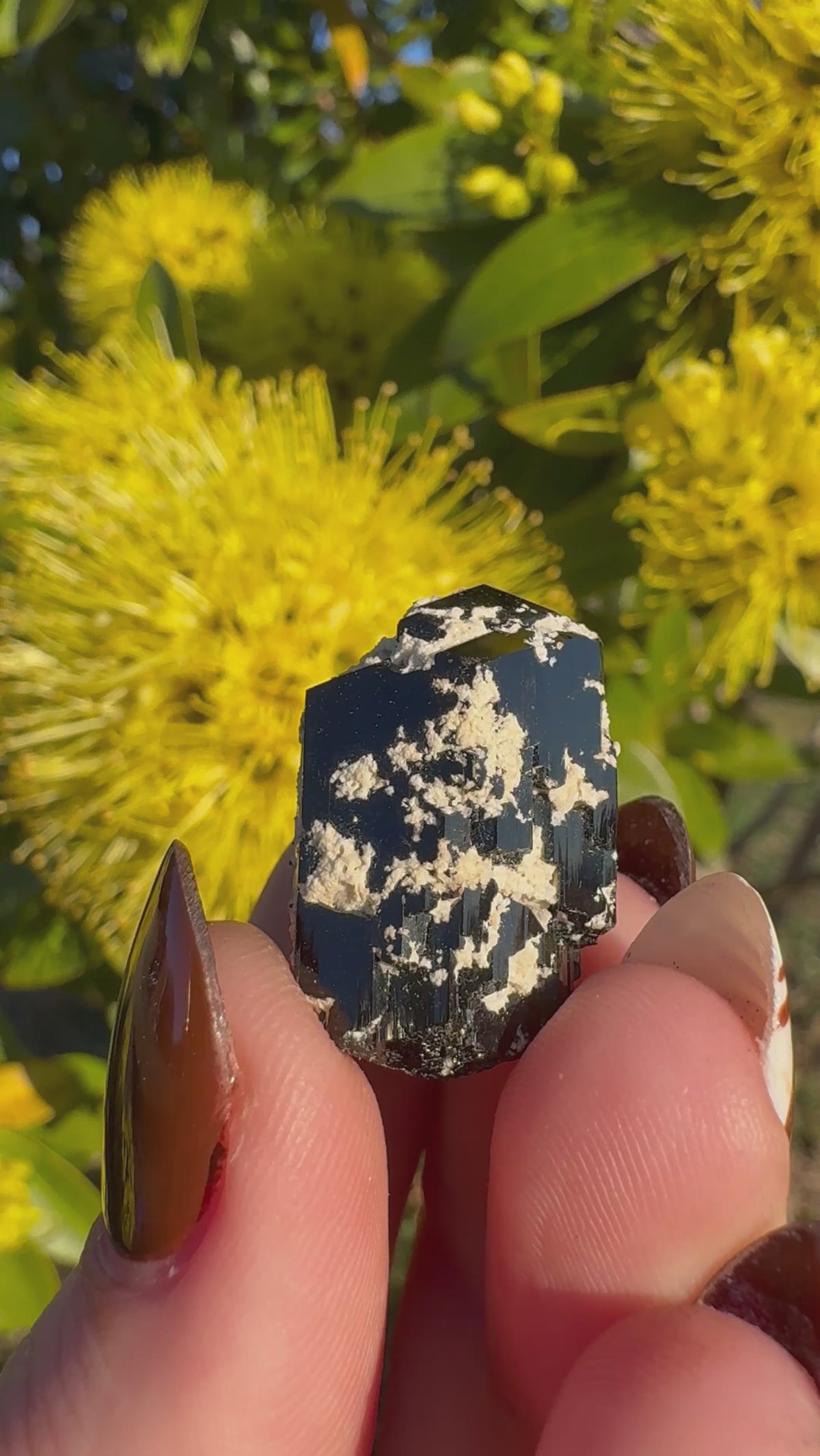 Black Tourmaline With Feldspar Specimen