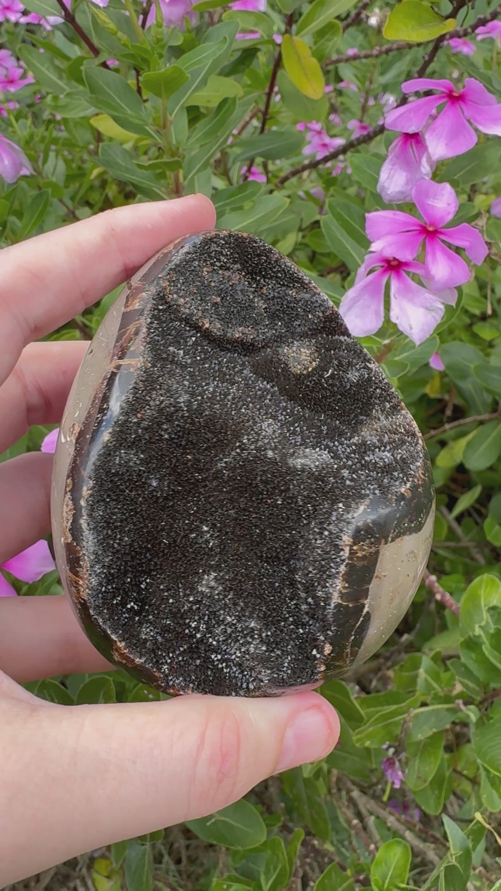 Septarian Druzy Egg with Calcite Inclusions