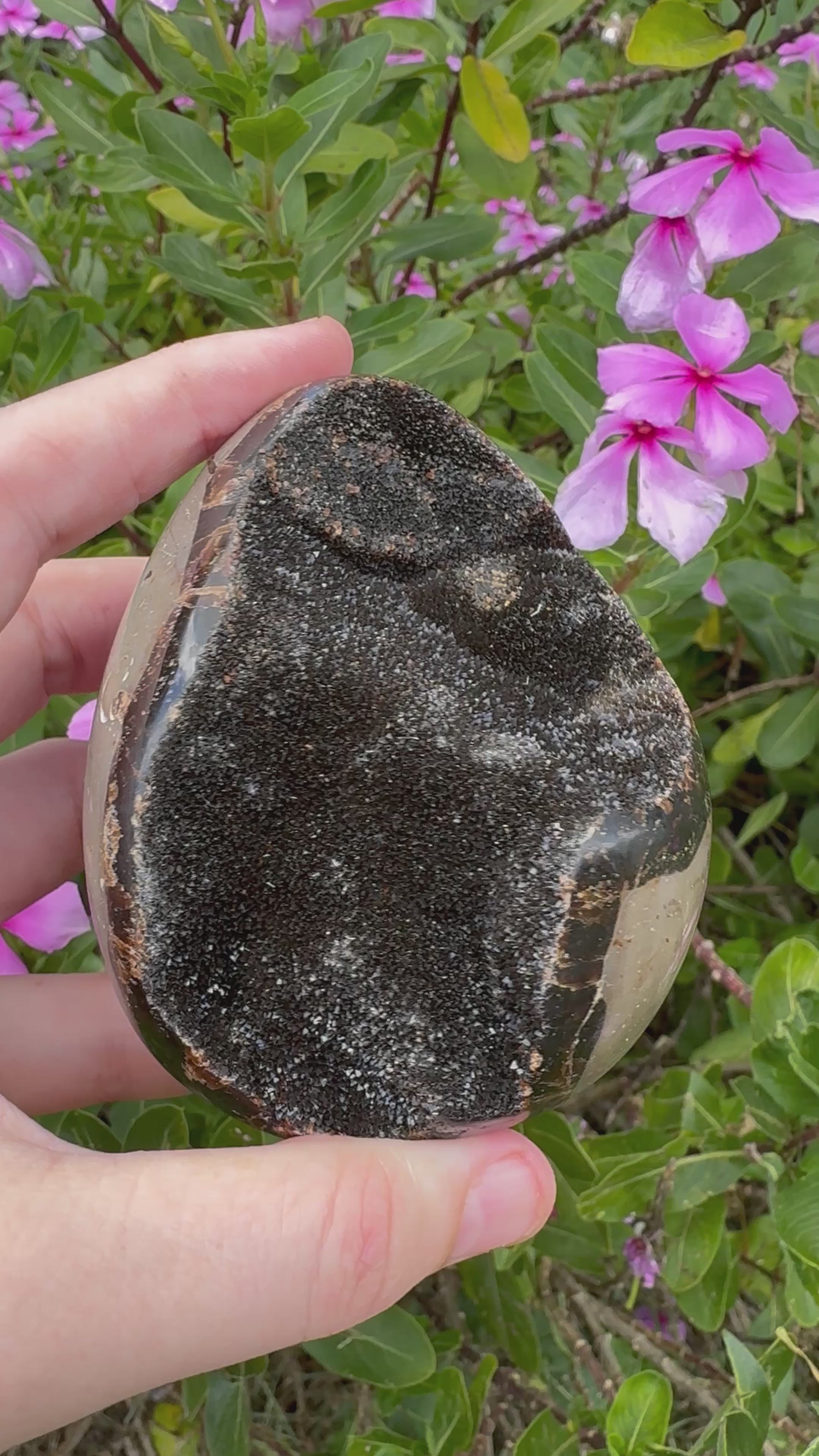 Septarian Druzy Egg with Calcite Inclusions