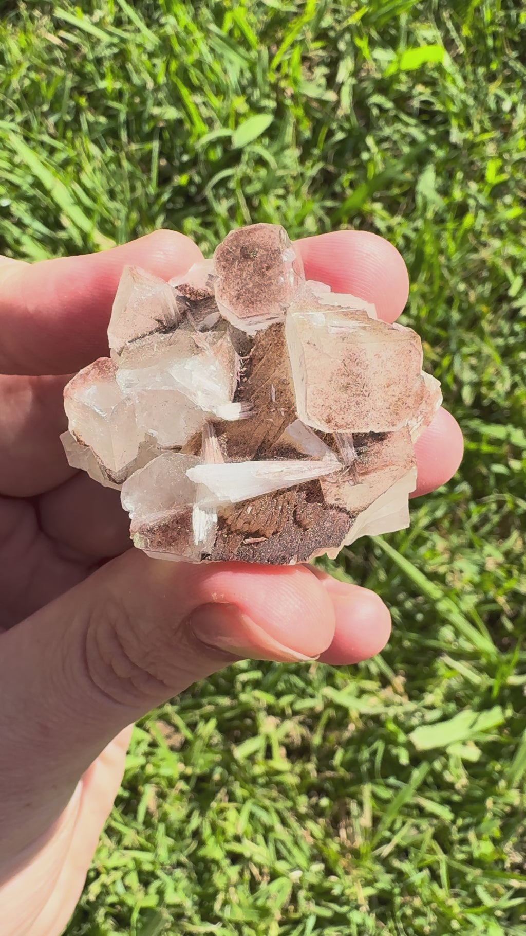 Red Phantom Apophyllite With Scolecite Specimen