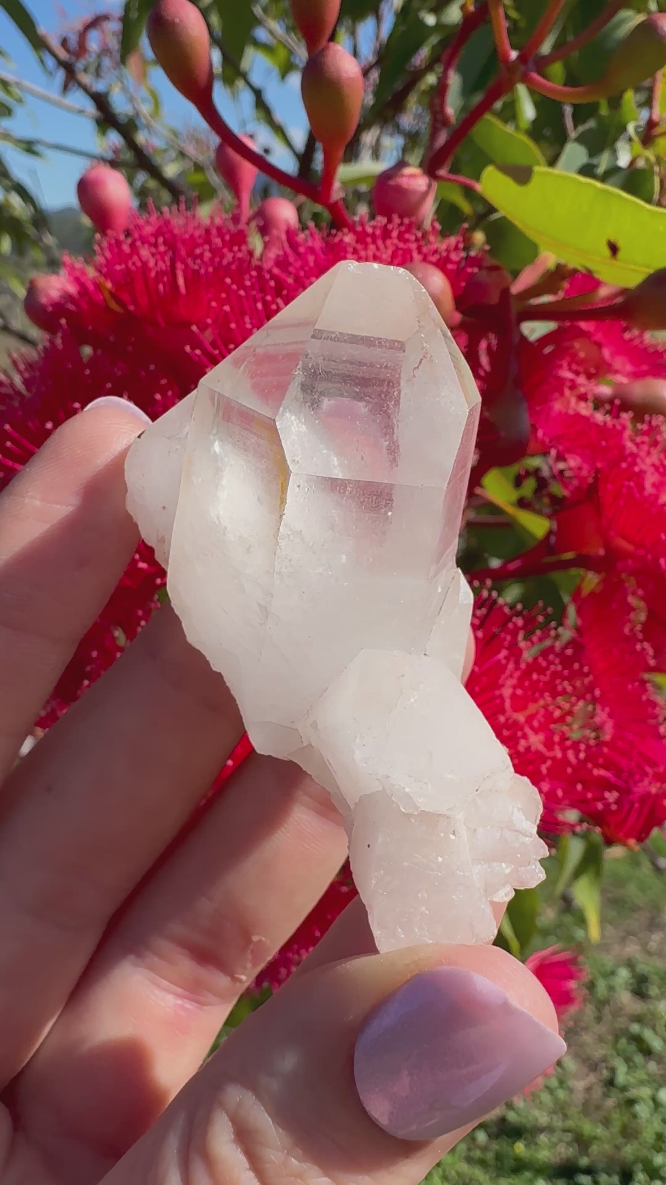 Himalayan Quartz Cluster