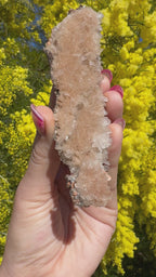 Clear Hemimorphite Cluster - Durango Mexico