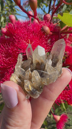 Hematite Phantom Quartz Cluster - Torrington