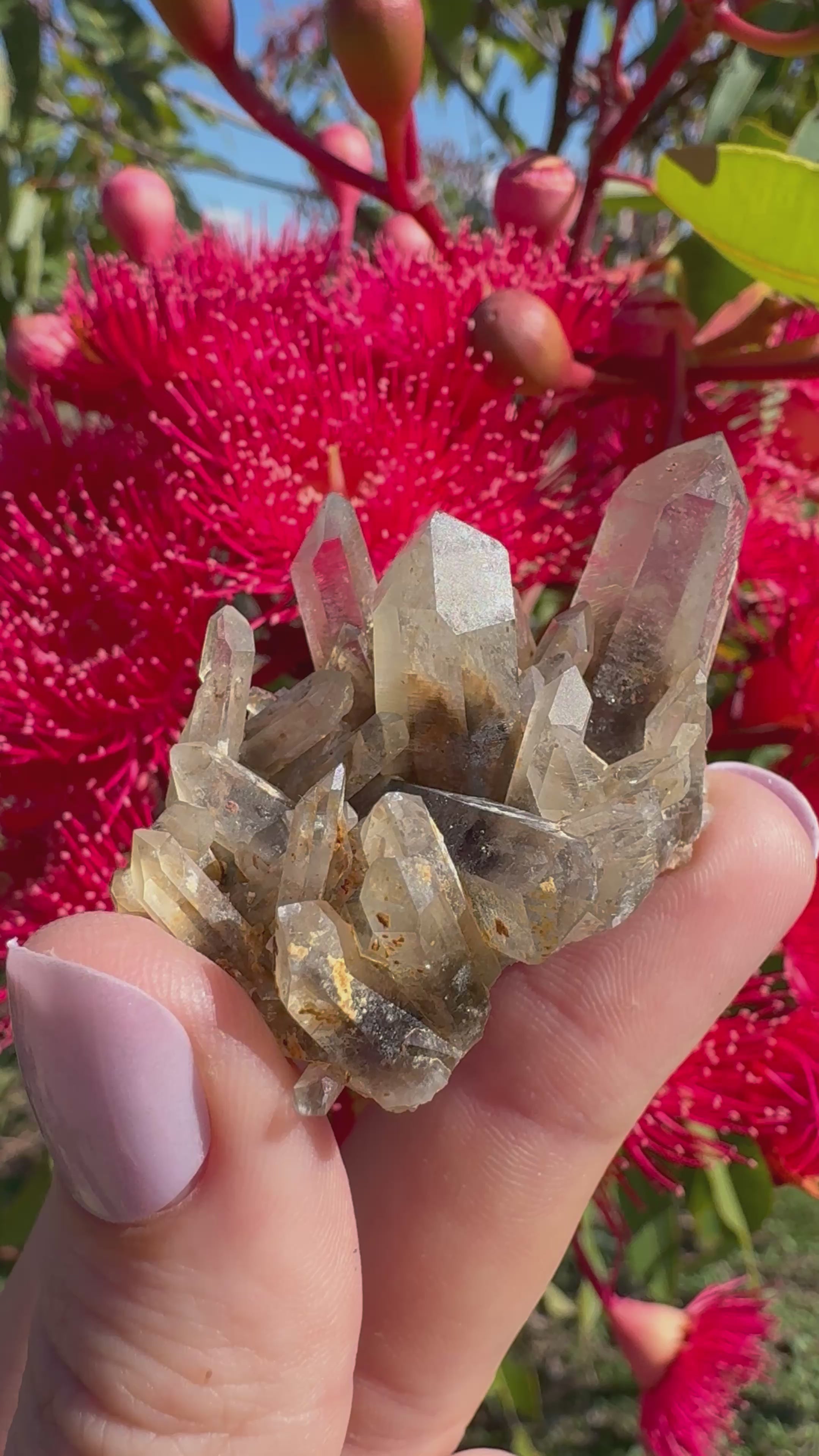 Hematite Phantom Quartz Cluster - Torrington