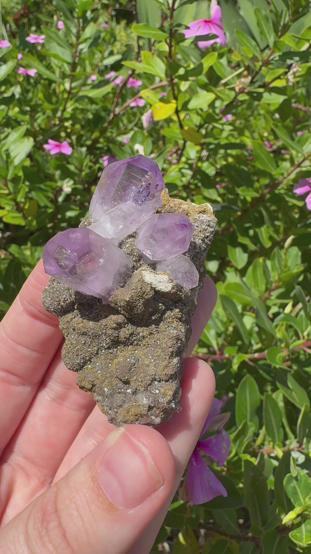 Vera Cruz Amethyst Specimen
