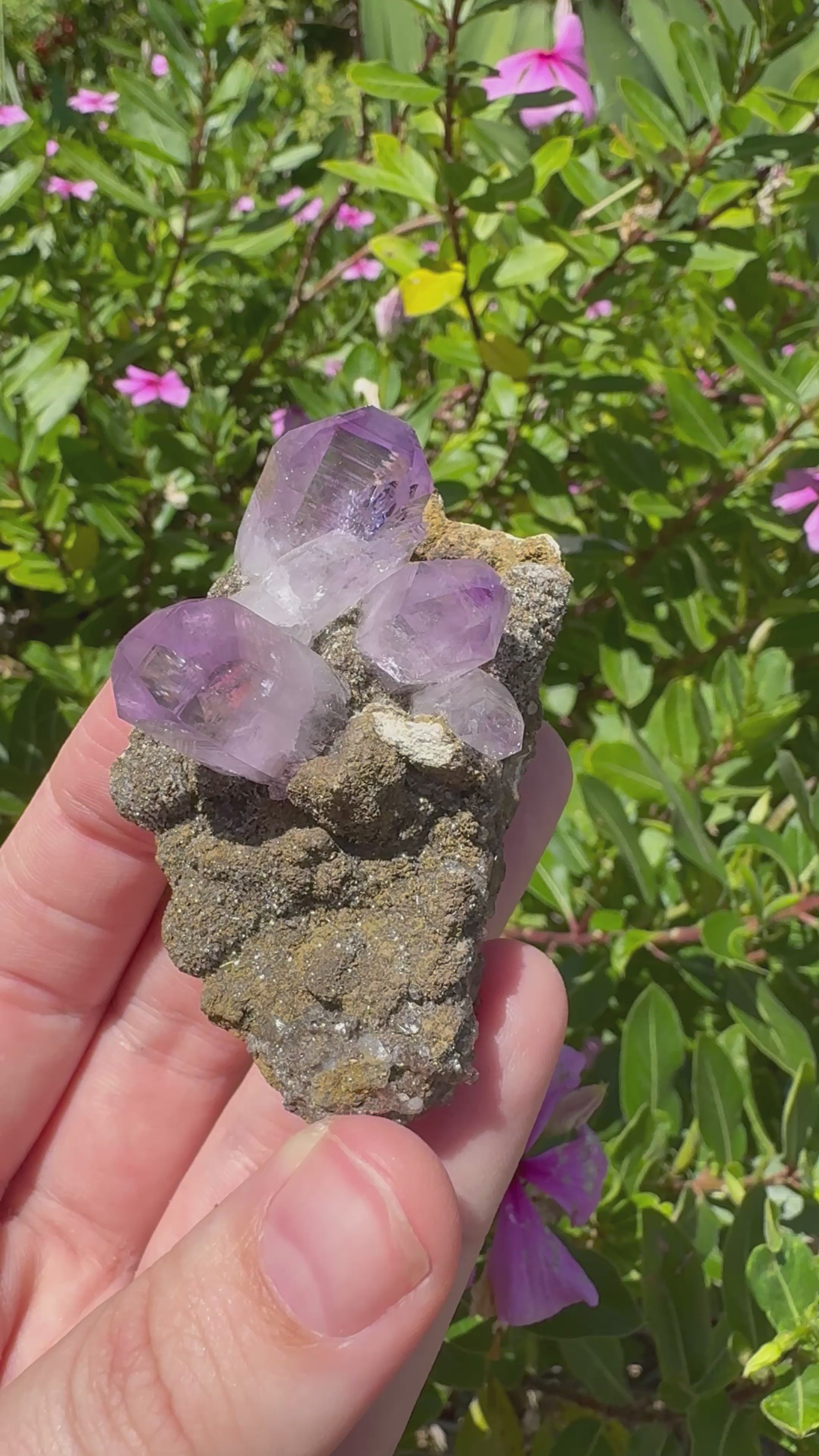 Vera Cruz Amethyst Specimen