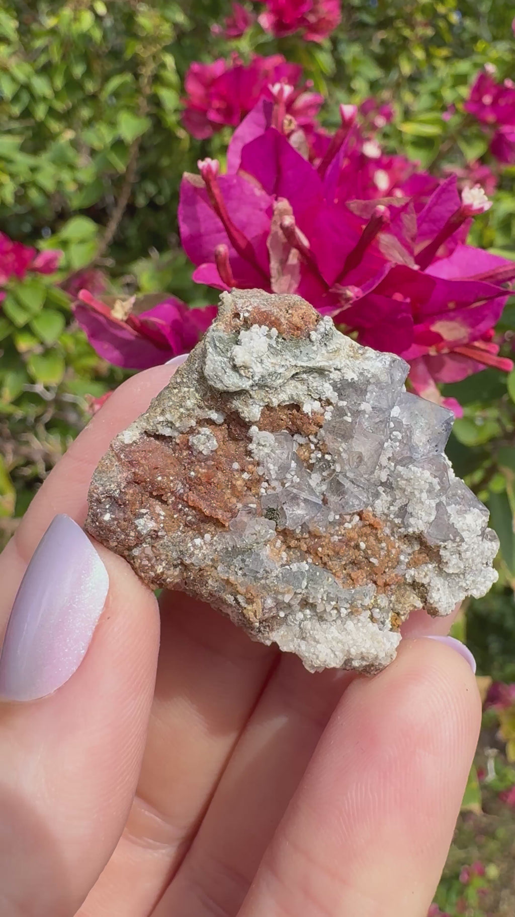 Octahedral Fluorite And Garnet Specimen
