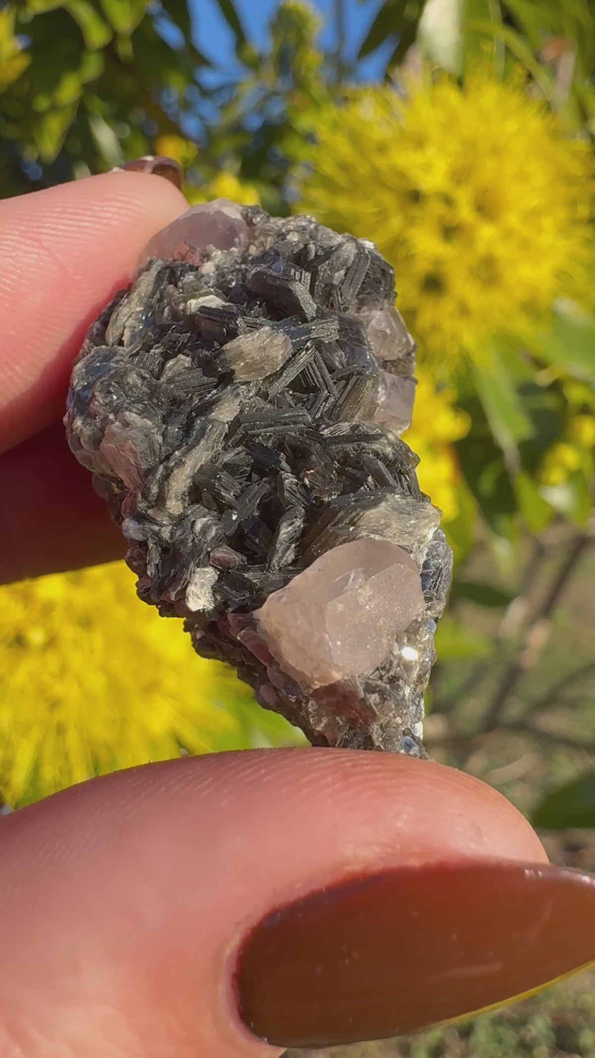 Pink Apatite On Mica Matrix Specimen