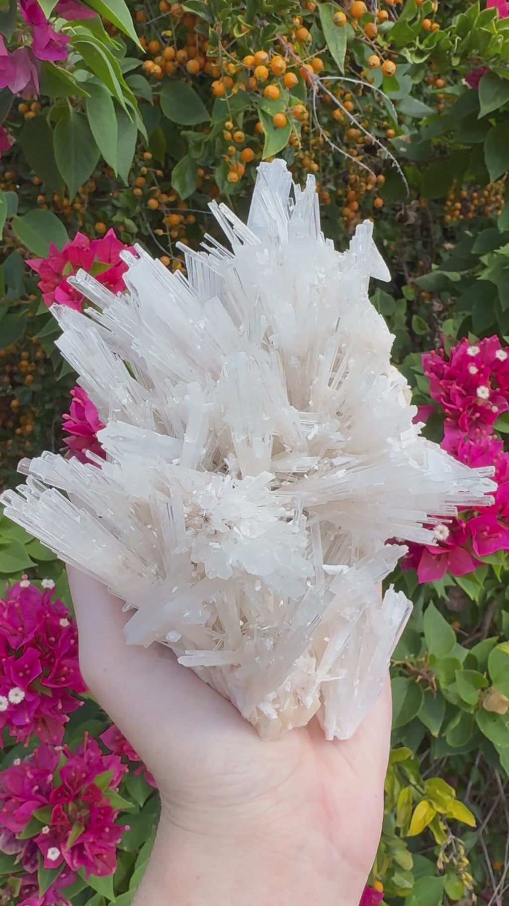 Scolecite Natural Specimen