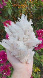 Scolecite Natural Specimen