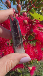 Hematite Coated Quartz Point