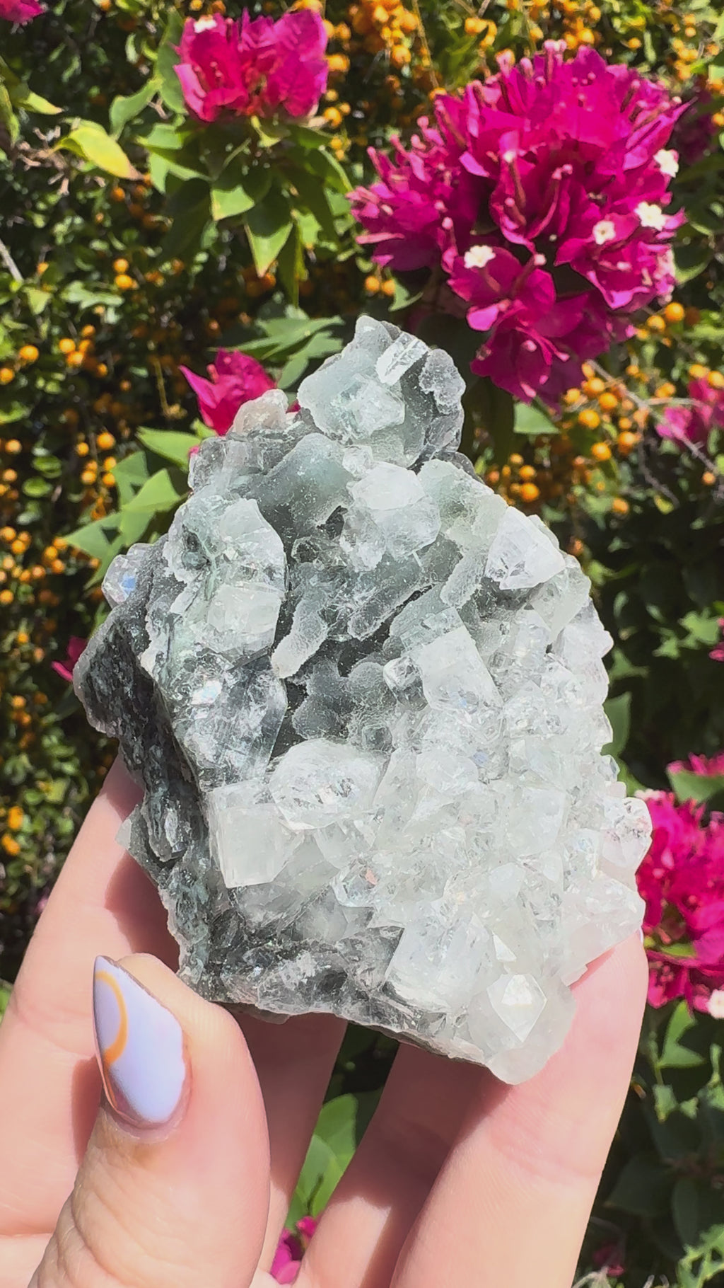 Black Chalcedony Stalactites with Apophyllite