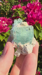 Eronga Aquamarine Specimen - High Quality