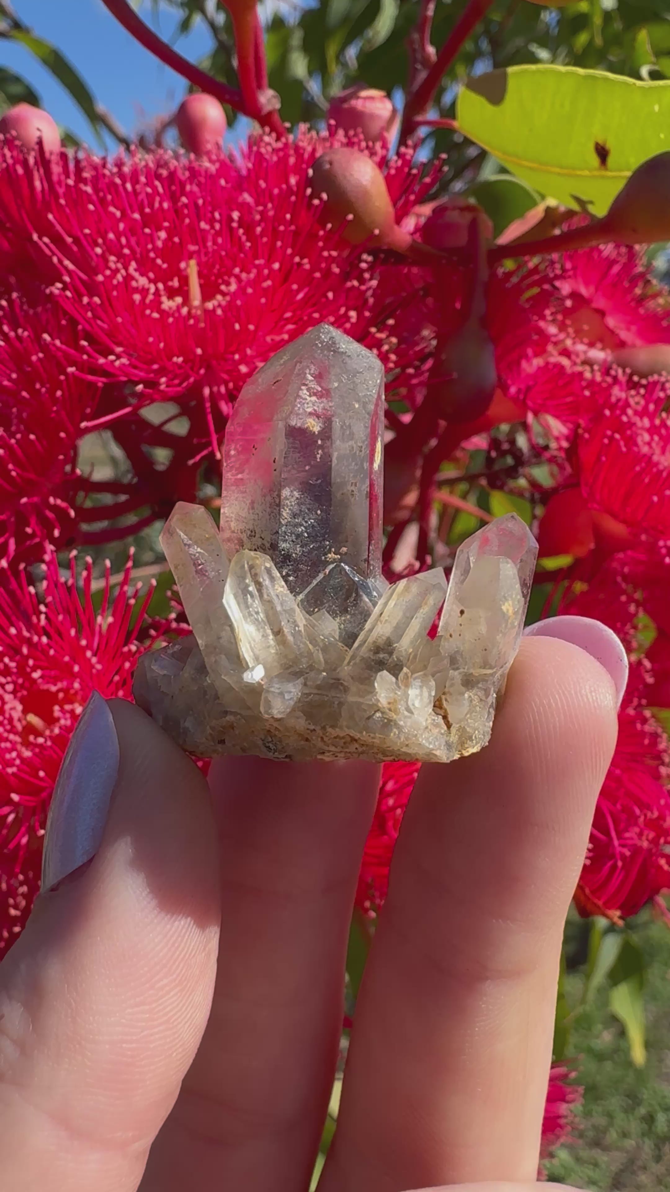 Hematite Phantom Quartz Cluster - Torrington