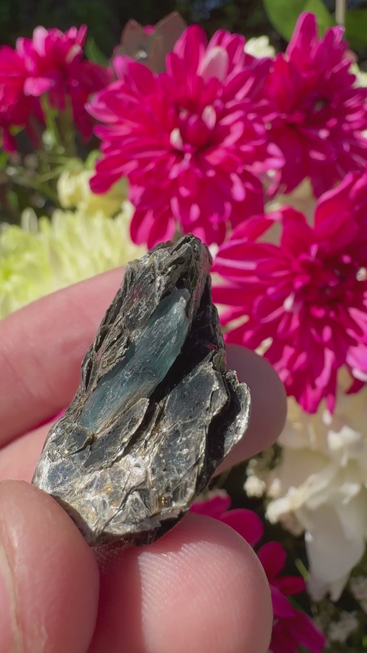 Ocean Kyanite Specimen – Mount Riddock
