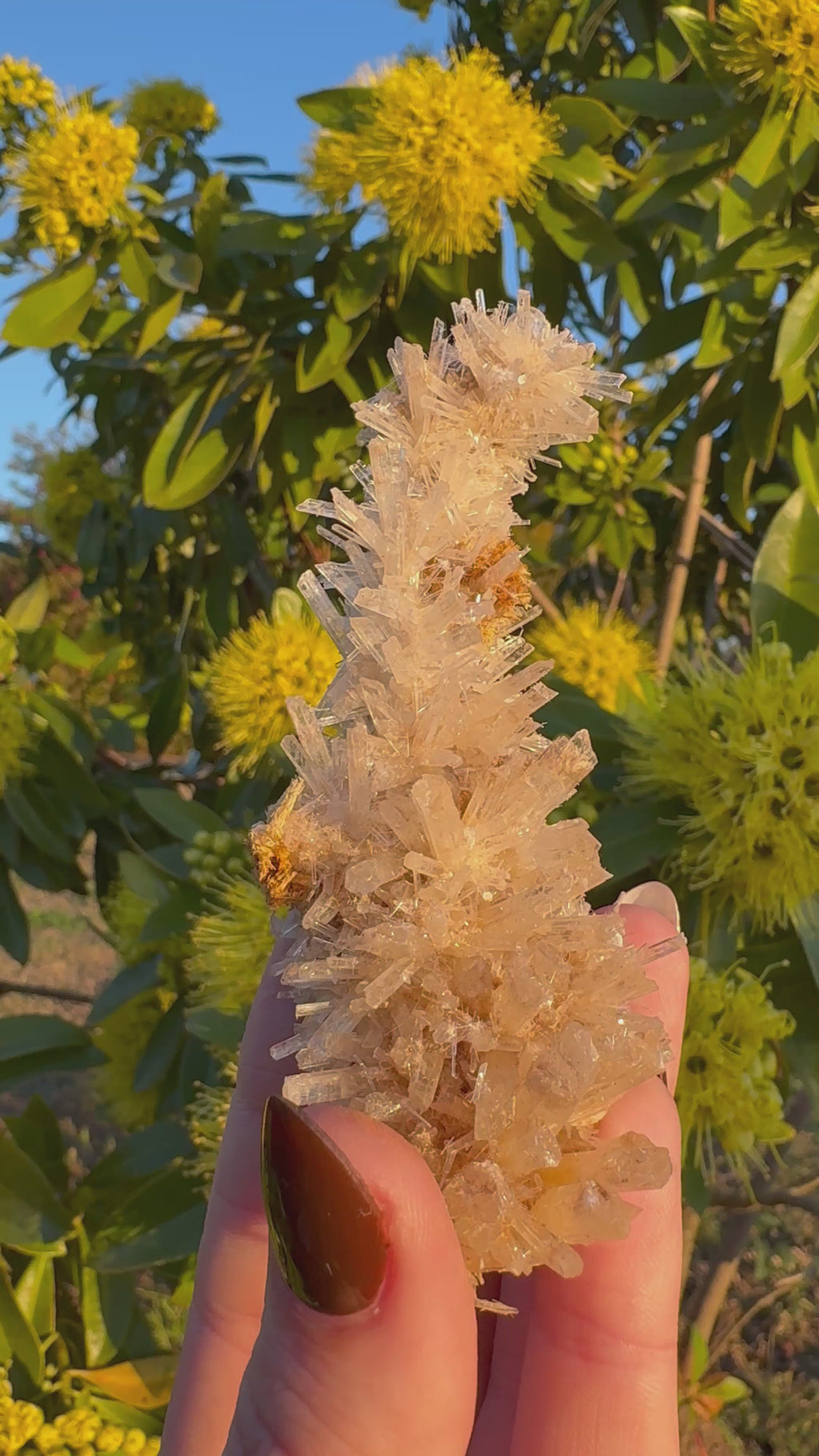 Selenite ‘Gypsum’ Natural Specimen - Chillingollah
