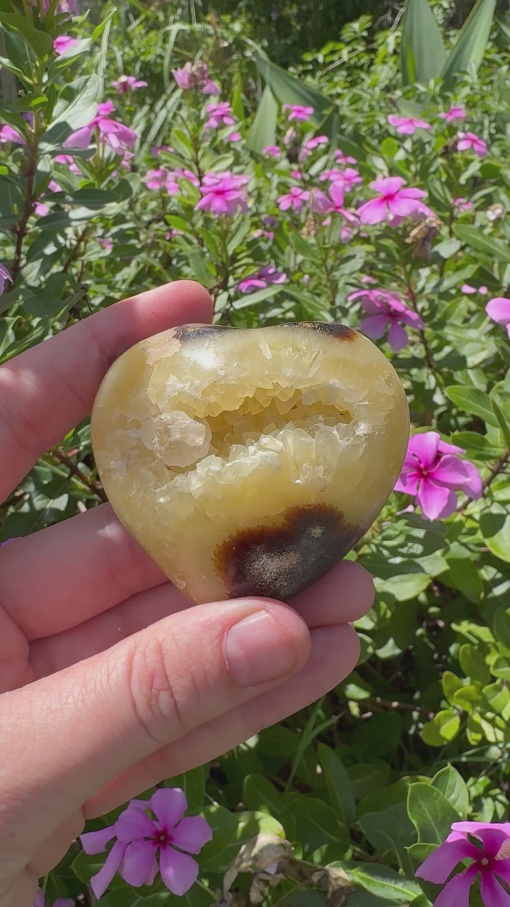 Septarian Cluster Heart with Stand