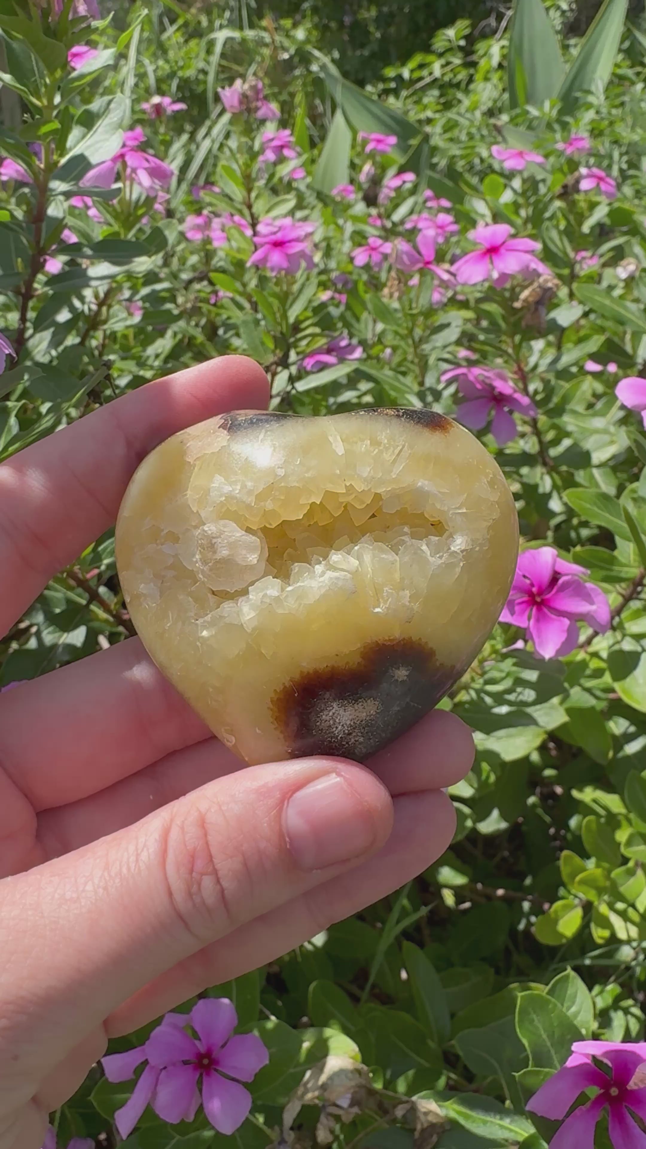 Septarian Cluster Heart with Stand