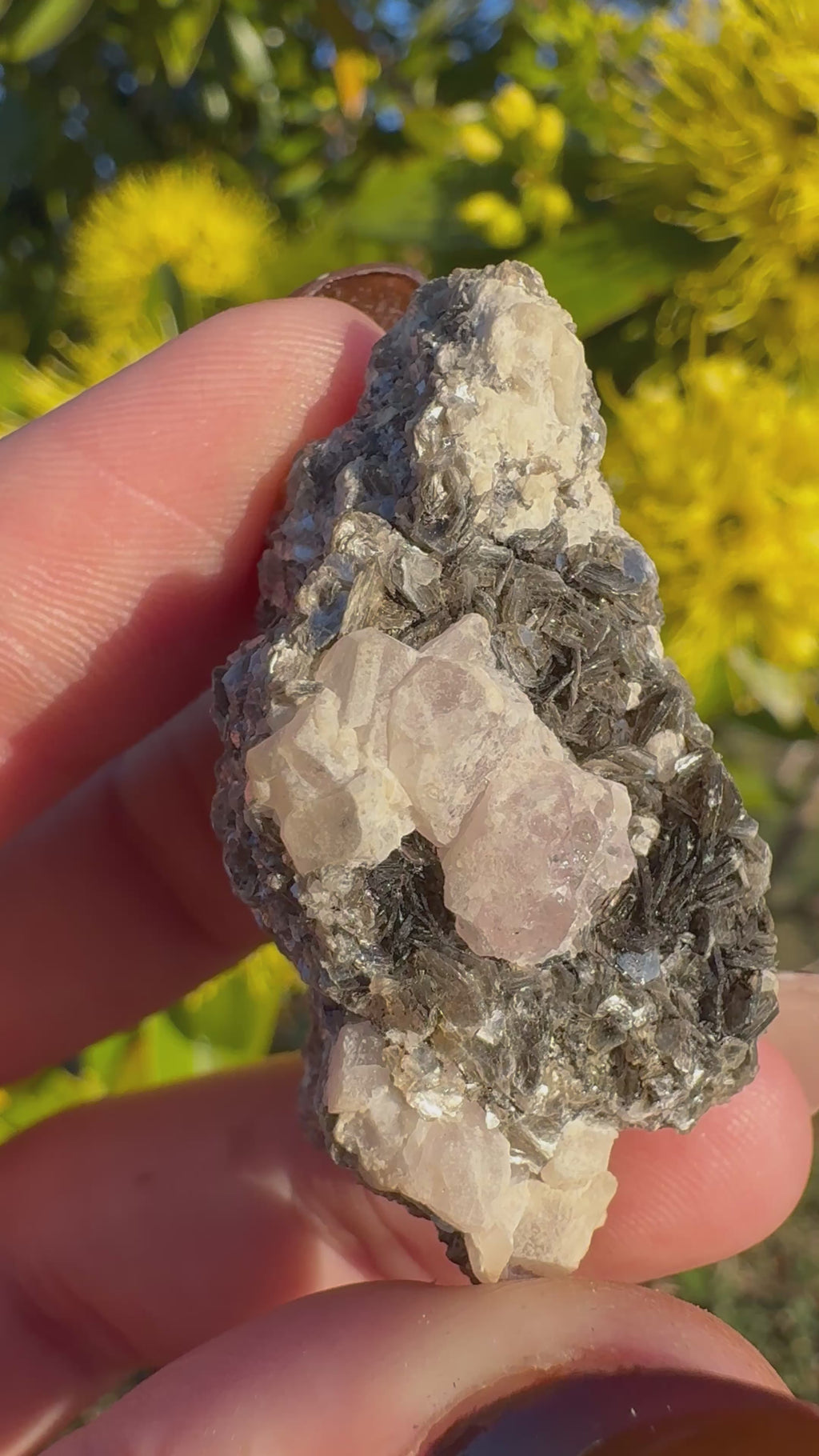 Pink Apatite On Mica Matrix Specimen