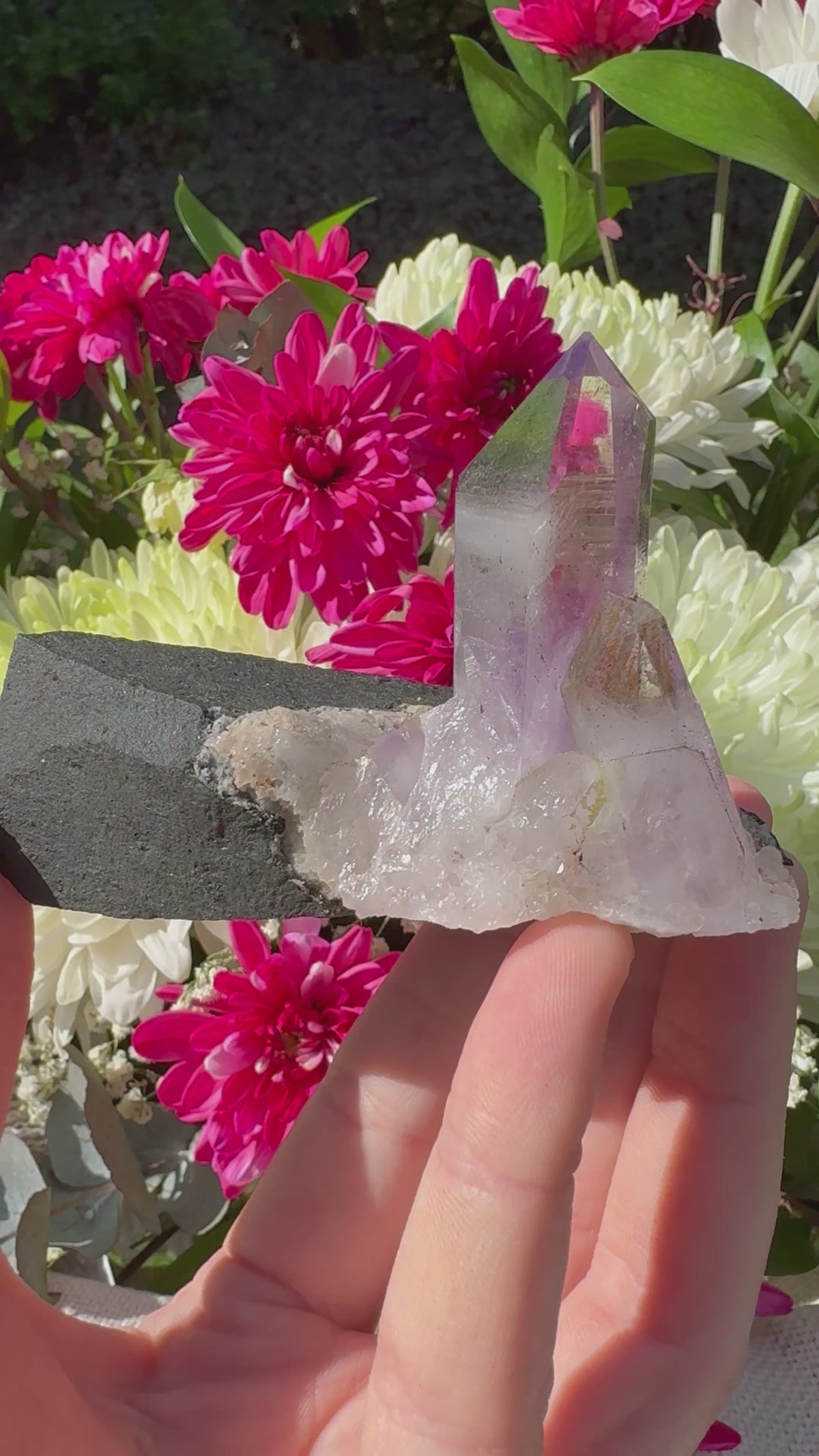Amethyst Points on Basalt Matrix – Brandberg