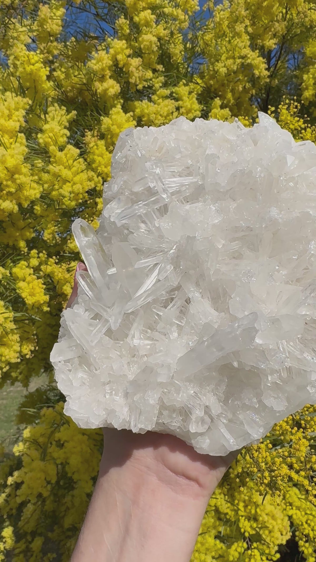 Clear Quartz Cluster