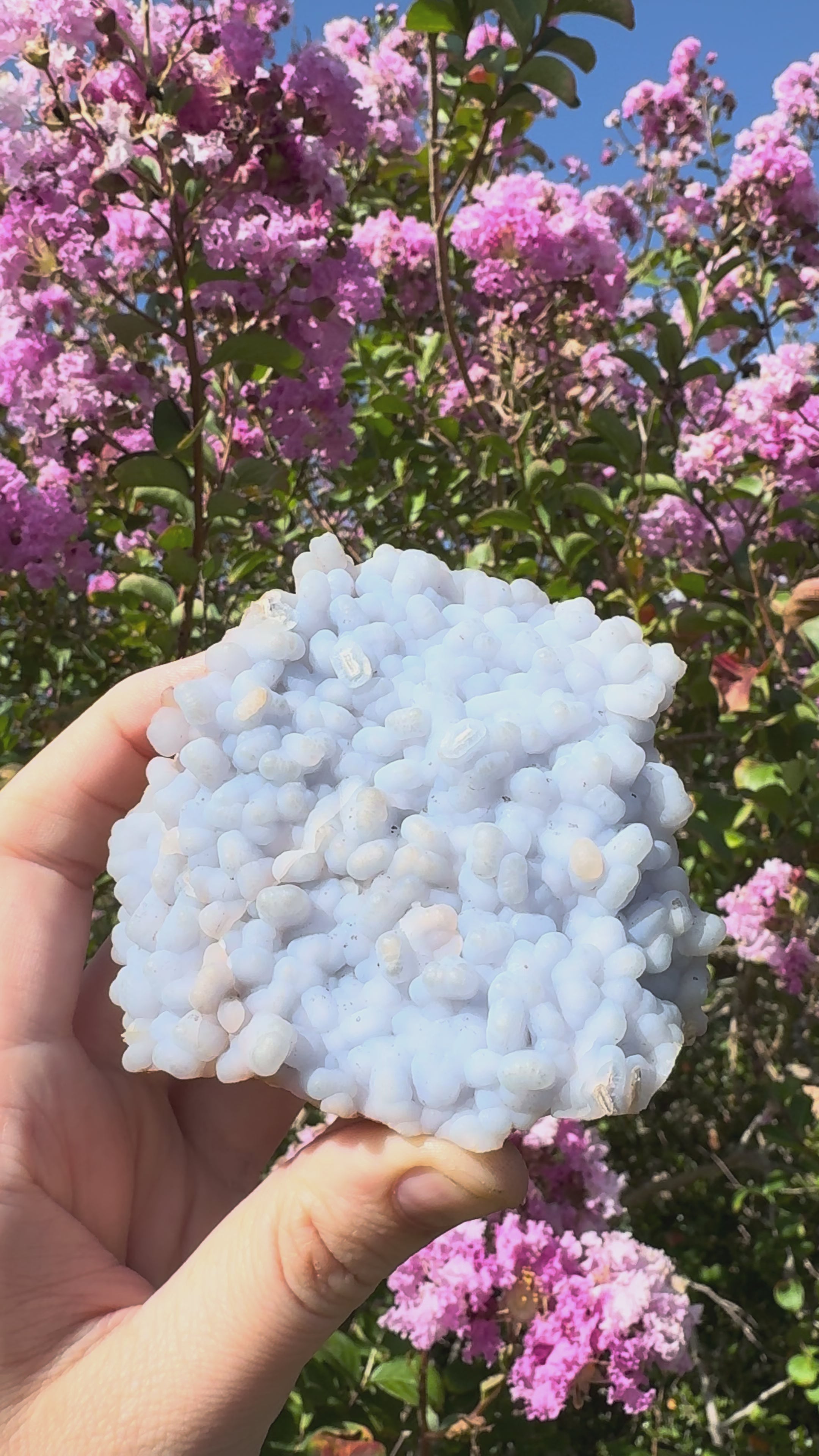 Angelite ‘Botryoidal’ Cluster Specimen