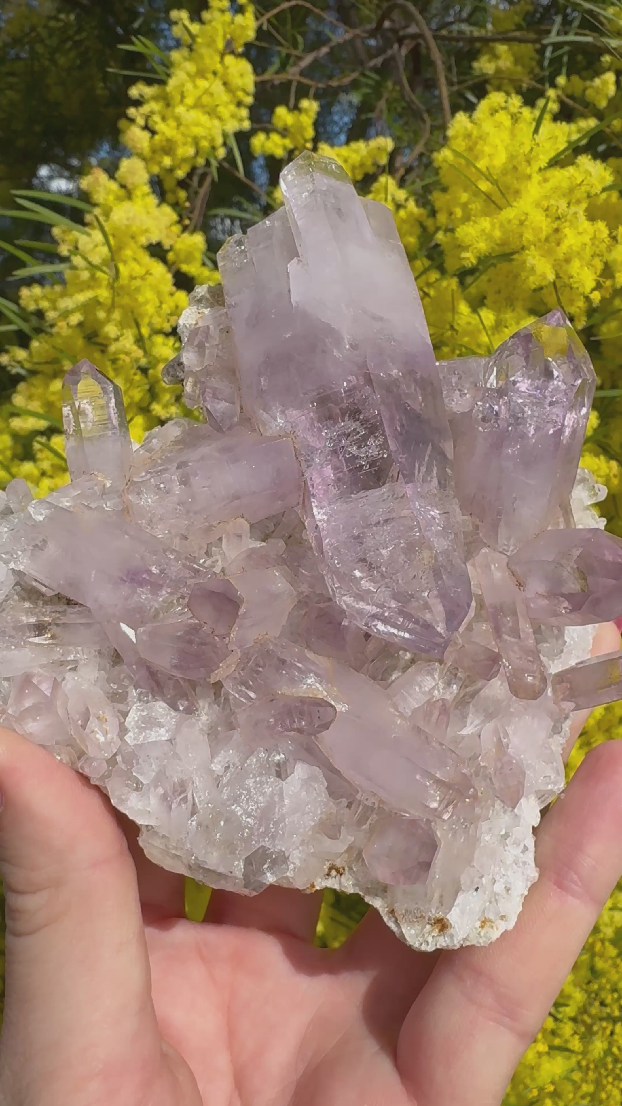 Vera Cruz Amethyst Specimen