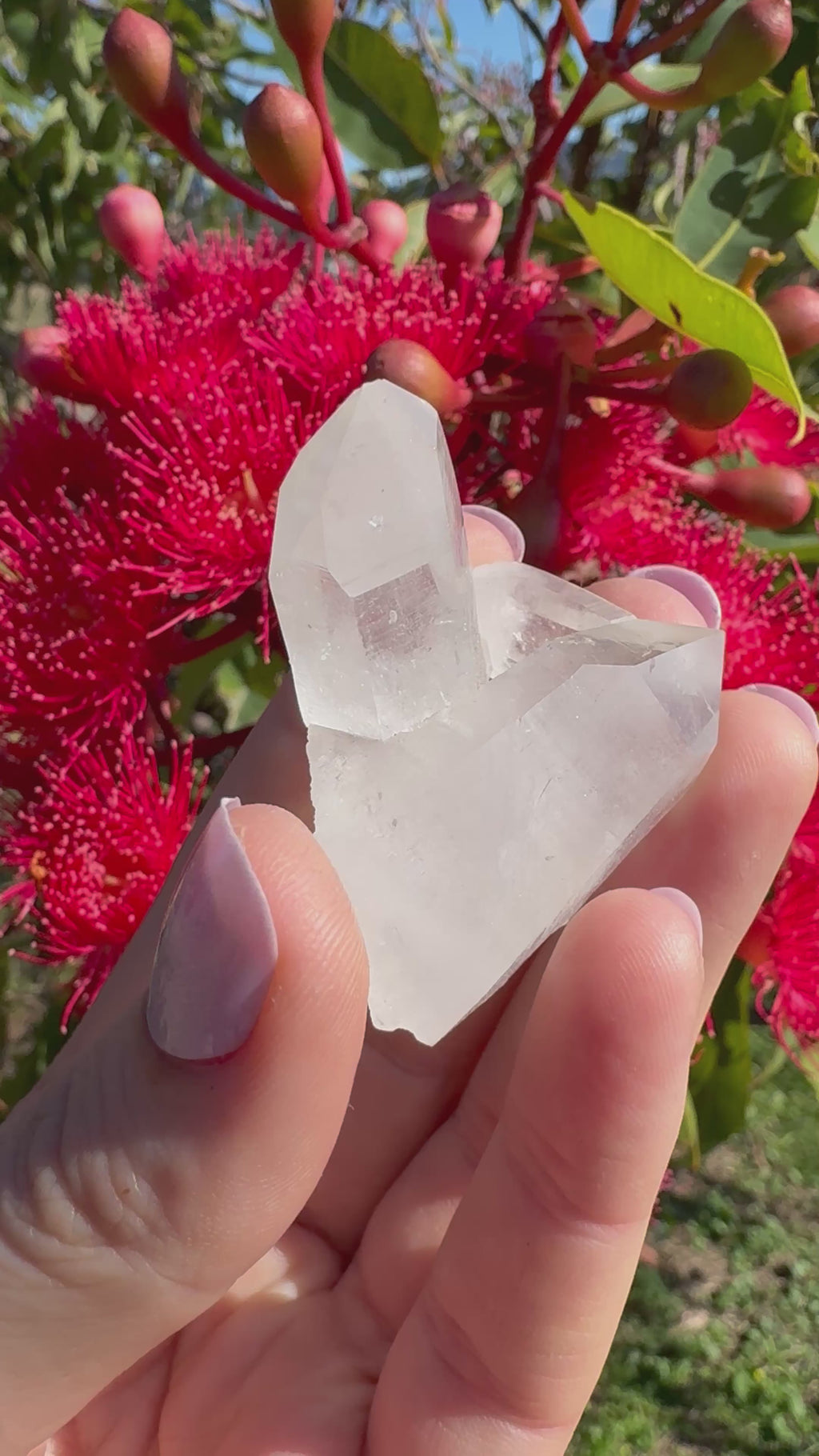 Himalayan Quartz Cluster