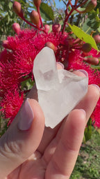 Himalayan Quartz Cluster