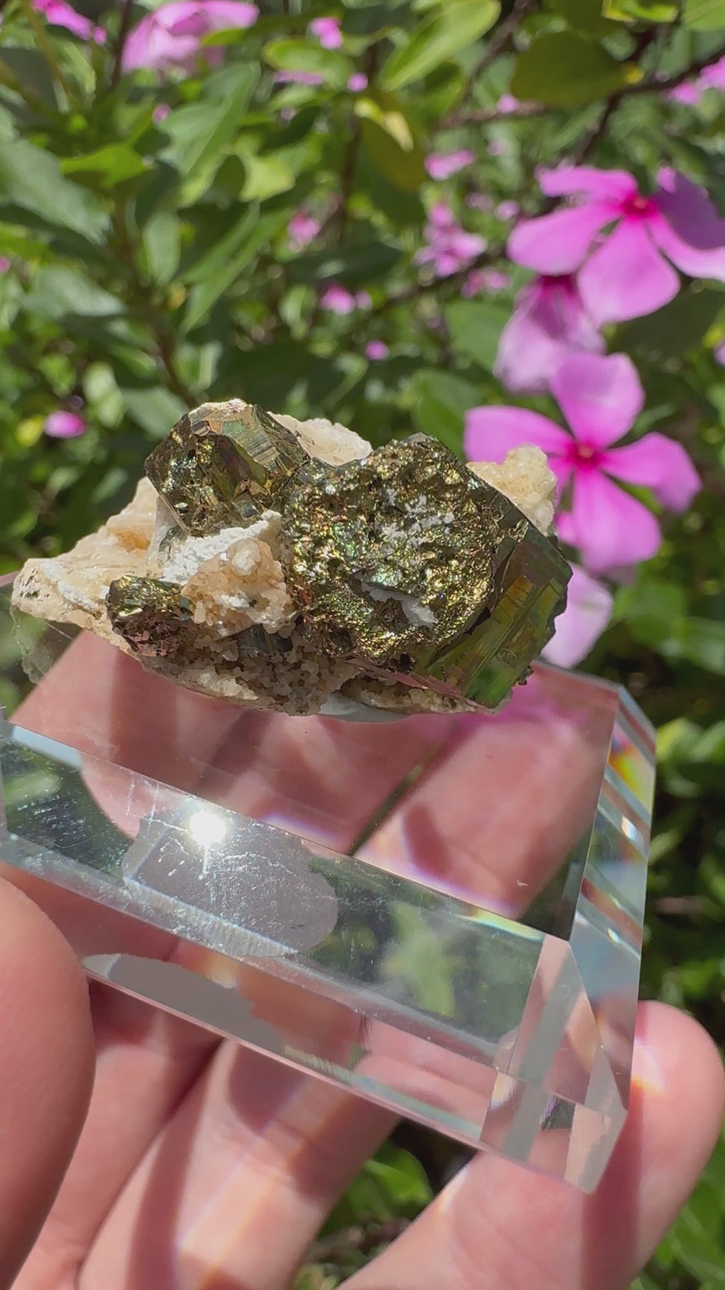 Iridescent Pyrite With Stilbite Cluster - A Grade