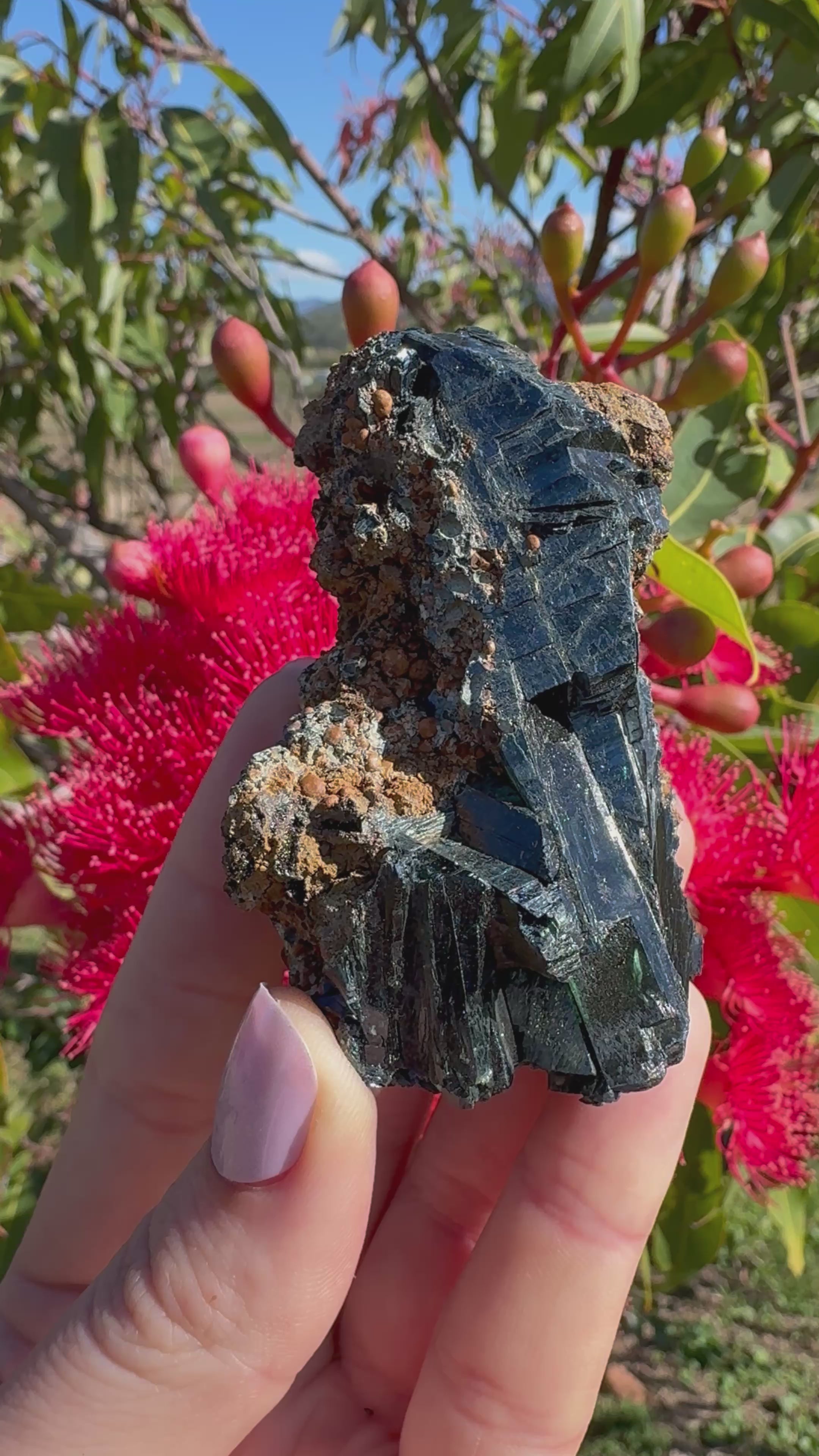 Vivianite on Matrix Specimen