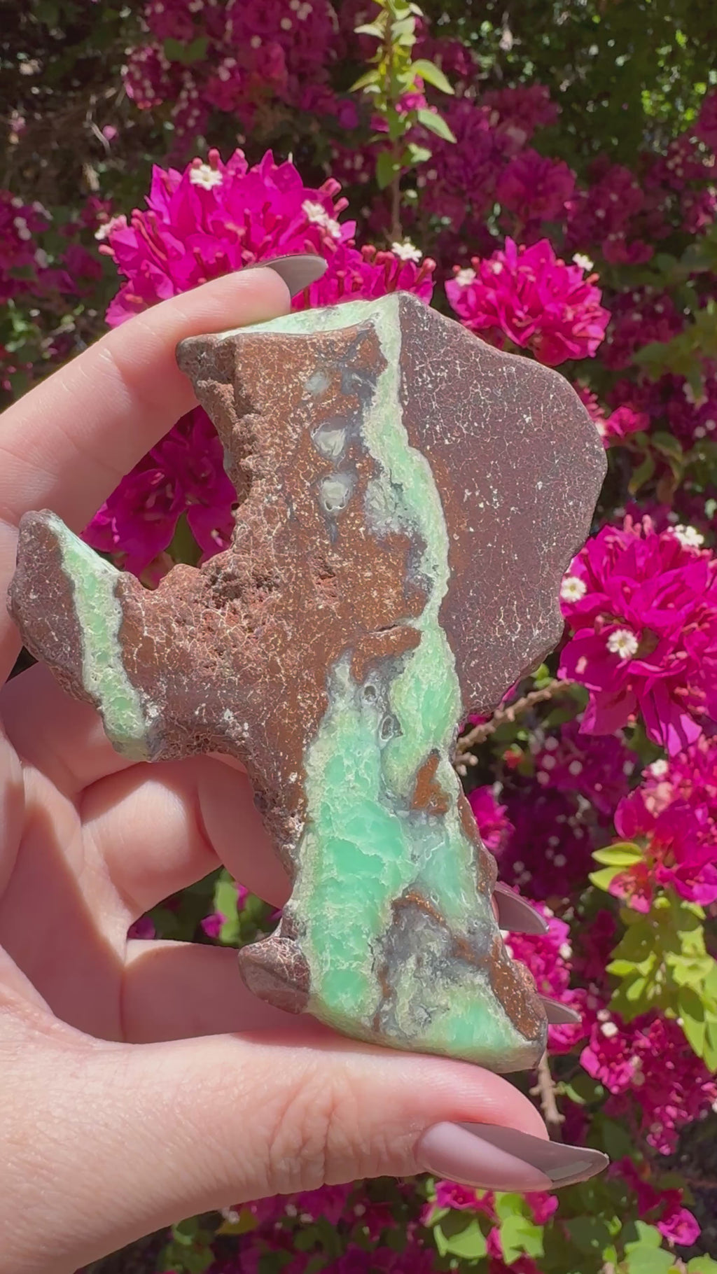 Green Chrysoprase Slice | Yerilla