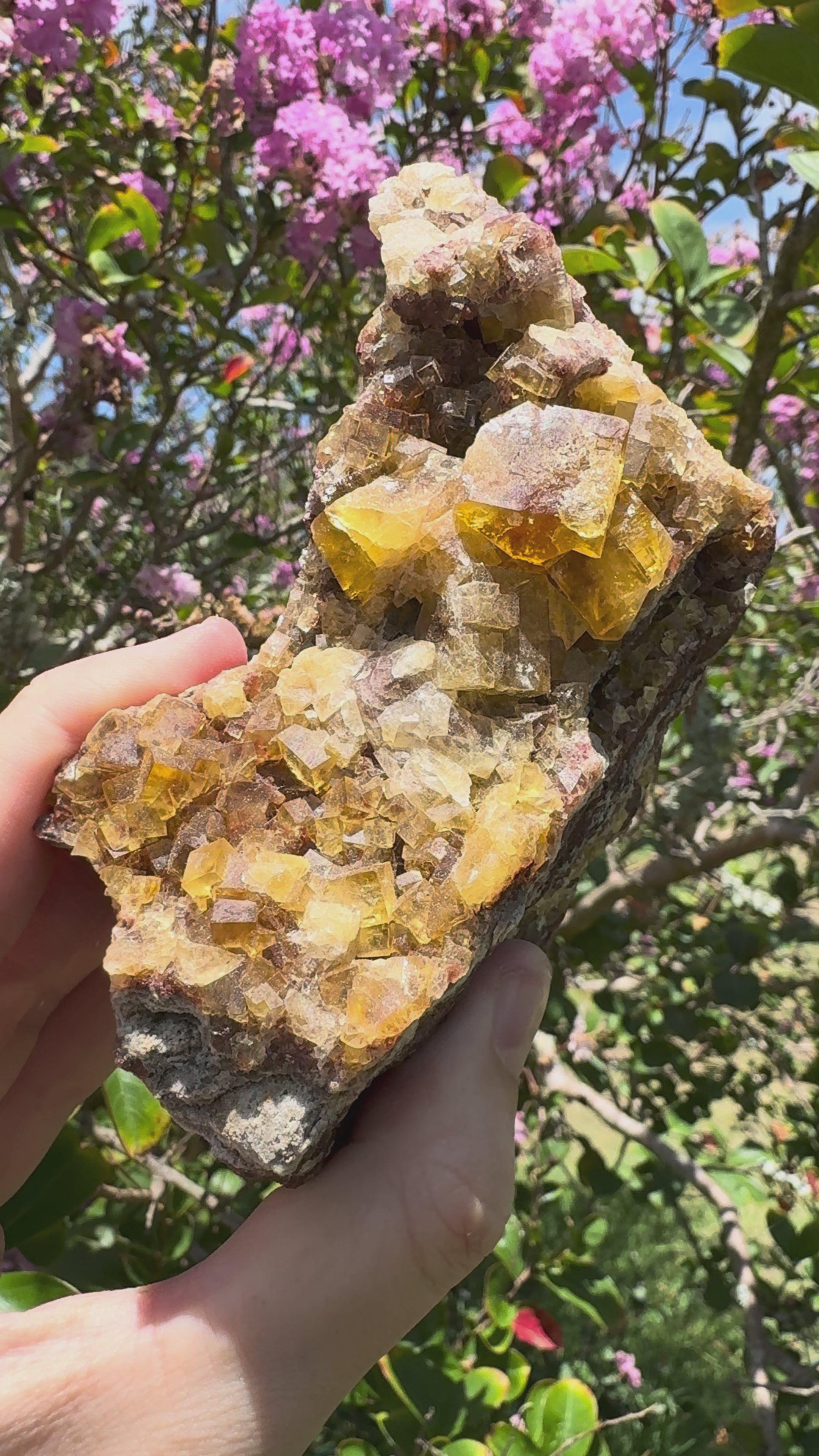 Yellow Cubic Fluorite on Iron-Stained Quartz Specimen