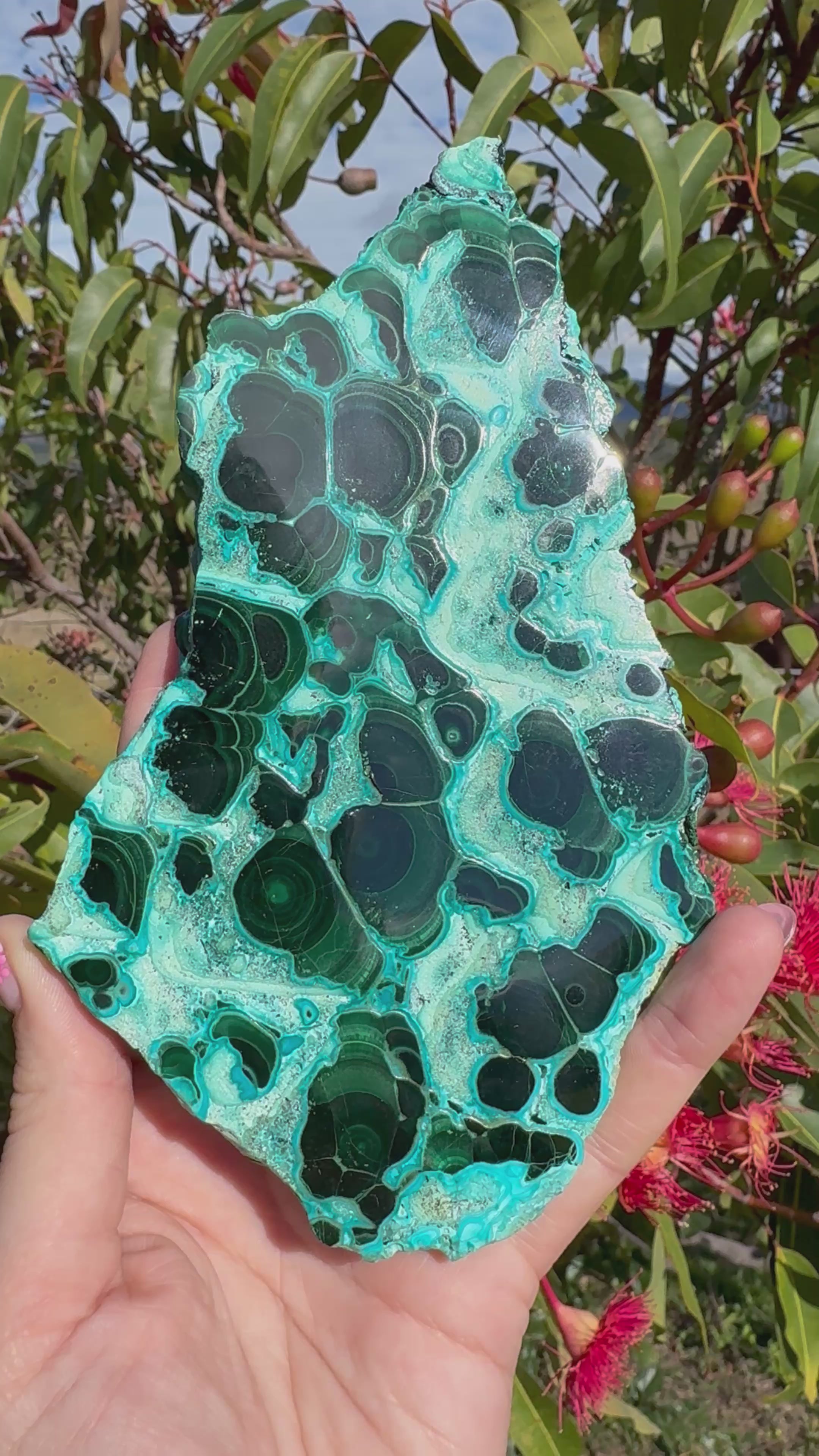 Chrysocolla and Malachite Polished Slice with Stand